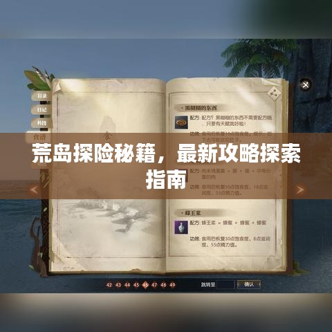 荒岛探险秘籍，最新攻略探索指南