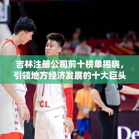 吉林注册公司前十榜单揭晓，引领地方经济发展的十大巨头