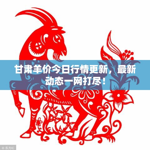 甘肃羊价今日行情更新，最新动态一网打尽！