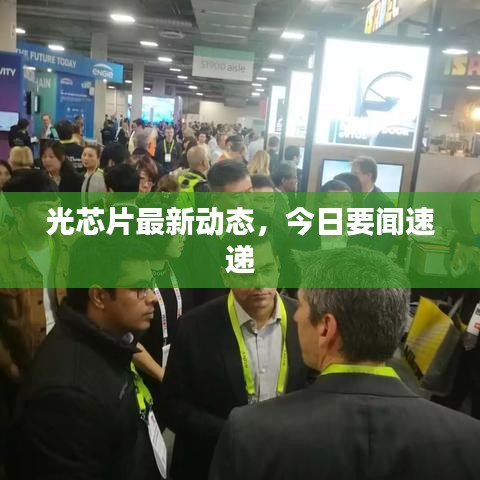 光芯片最新动态，今日要闻速递