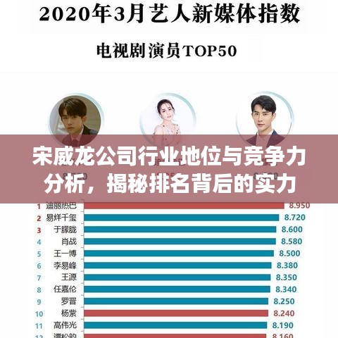 宋威龙公司行业地位与竞争力分析，揭秘排名背后的实力