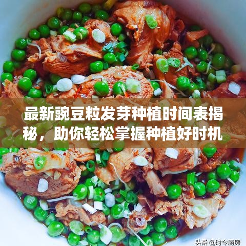 意气风发