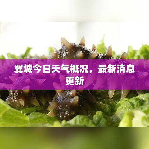 翼城今日天气概况，最新消息更新