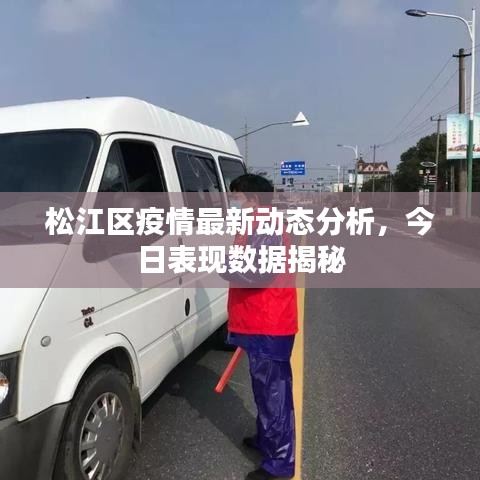 松江区疫情最新动态分析，今日表现数据揭秘