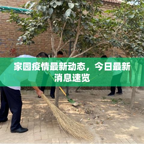 家园疫情最新动态，今日最新消息速览