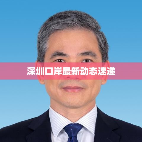 深圳口岸最新动态速递