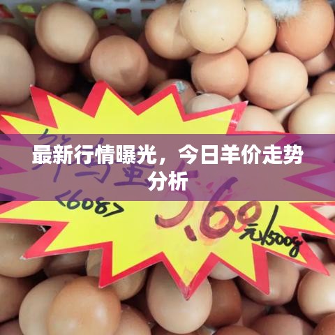 最新行情曝光，今日羊价走势分析