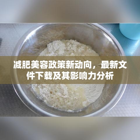 减肥美容政策新动向，最新文件下载及其影响力分析