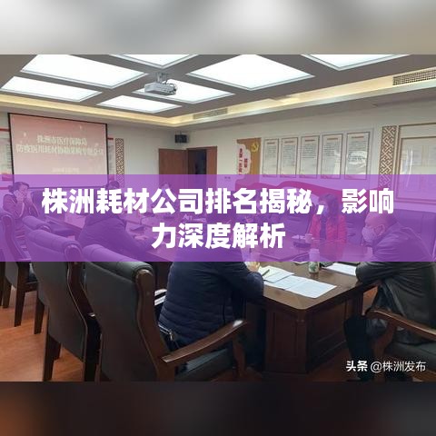 株洲耗材公司排名揭秘，影响力深度解析