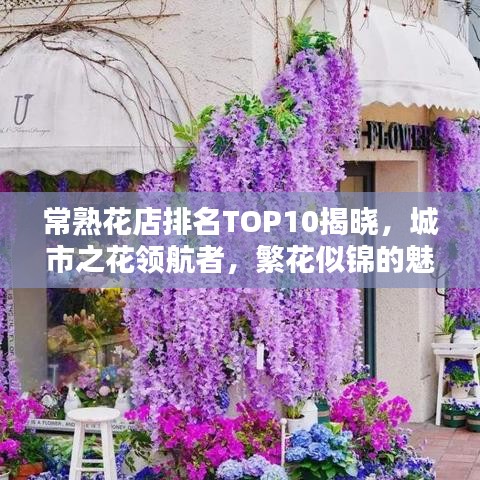 常熟花店排名TOP10揭晓，城市之花领航者，繁花似锦的魅力之选
