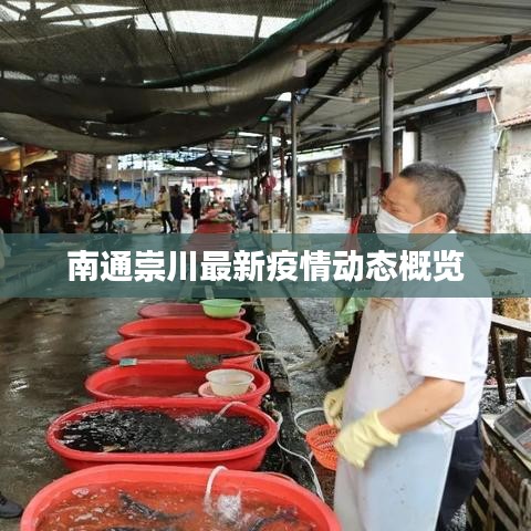 南通崇川最新疫情动态概览