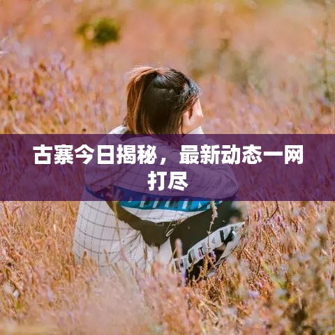 古寨今日揭秘，最新动态一网打尽