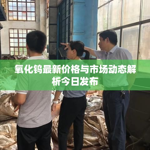 氧化钨最新价格与市场动态解析今日发布