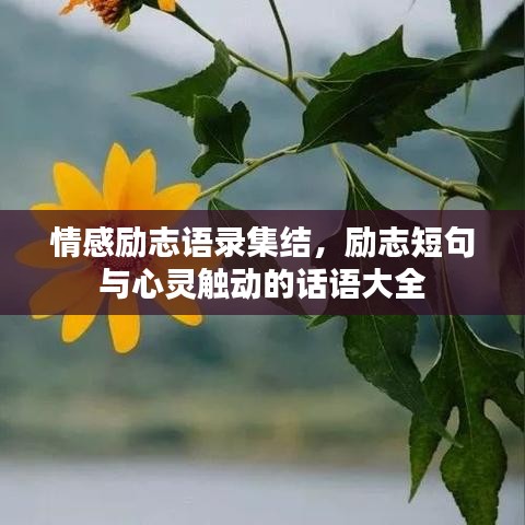 情感励志语录集结，励志短句与心灵触动的话语大全
