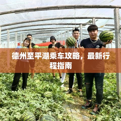德州至平湖乘车攻略，最新行程指南