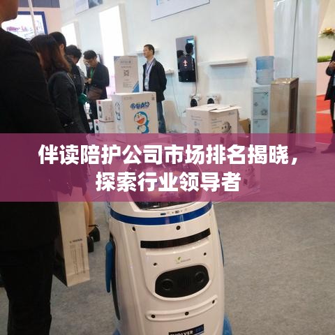 伴读陪护公司市场排名揭晓，探索行业领导者