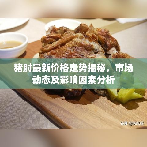 猪肘最新价格走势揭秘，市场动态及影响因素分析