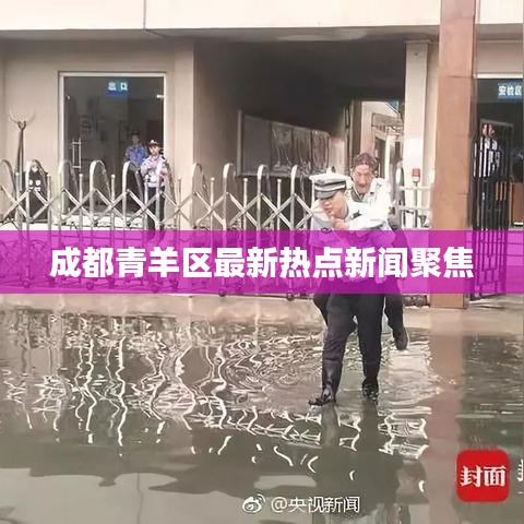 成都青羊区最新热点新闻聚焦