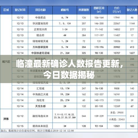 临潼最新确诊人数报告更新，今日数据揭秘