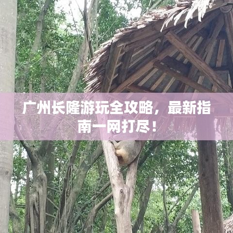 达官贵人