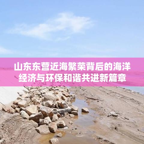 山东东营近海繁荣背后的海洋经济与环保和谐共进新篇章