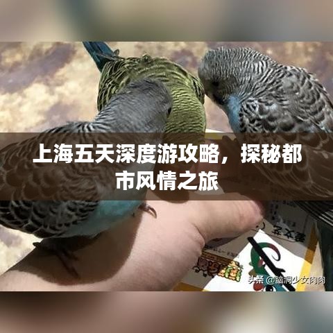 上海五天深度游攻略，探秘都市风情之旅