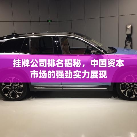 挂牌公司排名揭秘，中国资本市场的强劲实力展现
