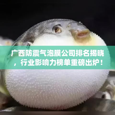 广西防震气泡膜公司排名揭晓，行业影响力榜单重磅出炉！