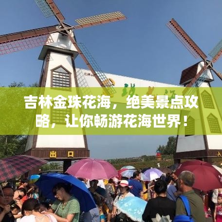 吉林金珠花海，绝美景点攻略，让你畅游花海世界！