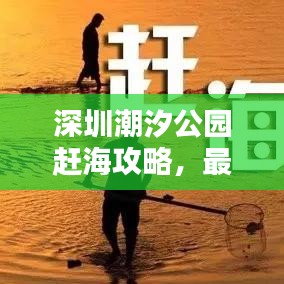 深圳潮汐公园赶海攻略，最新指南来袭！