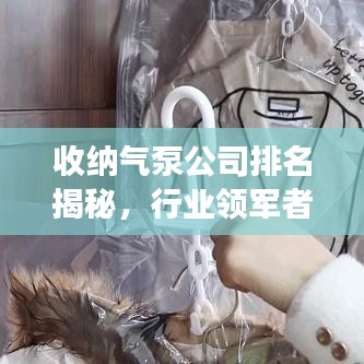 收纳气泵公司排名揭秘，行业领军者的深度剖析