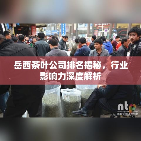 岳西茶叶公司排名揭秘，行业影响力深度解析
