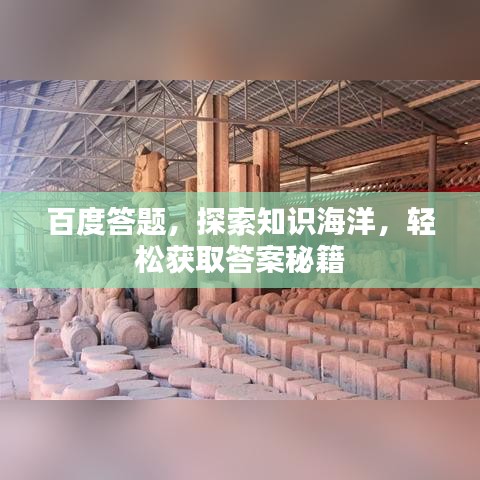 凤凰于飞
