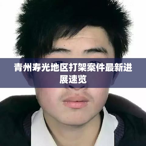 青州寿光地区打架案件最新进展速览