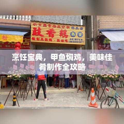 烹饪宝典，甲鱼焖鸡，美味佳肴制作全攻略
