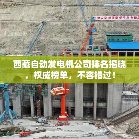 西藏自动发电机公司排名揭晓，权威榜单，不容错过！
