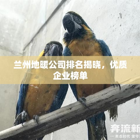 兰州地暖公司排名揭晓，优质企业榜单