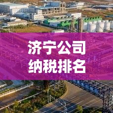 济宁公司纳税排名大揭秘，企业责任与贡献一览无余