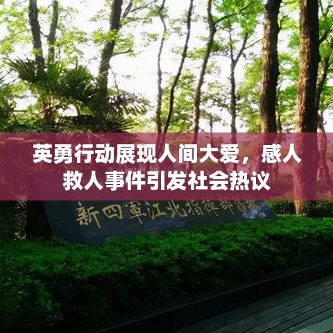 英勇行动展现人间大爱，感人救人事件引发社会热议