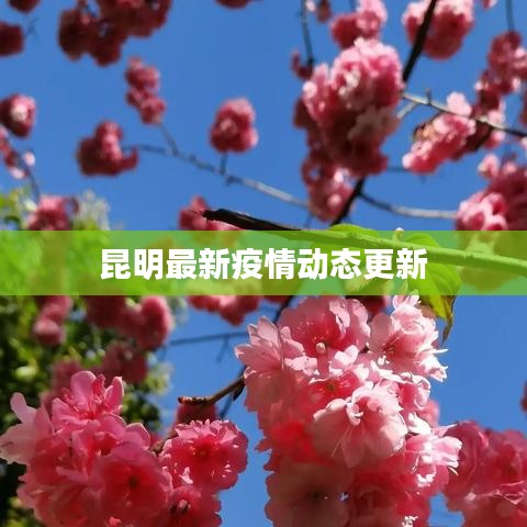 昆明最新疫情动态更新