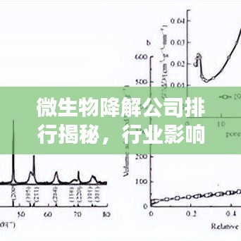 微生物降解公司排行揭秘，行业影响力与领先企业大盘点