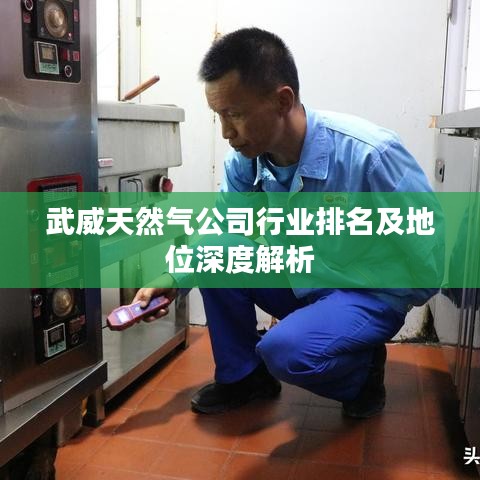 无冬无夏