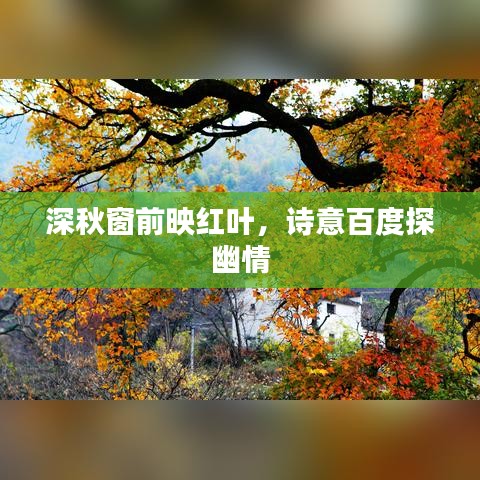 深秋窗前映红叶，诗意百度探幽情