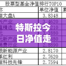特斯拉今日净值走势深度解析