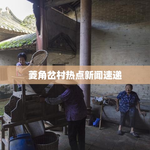 菱角岔村热点新闻速递
