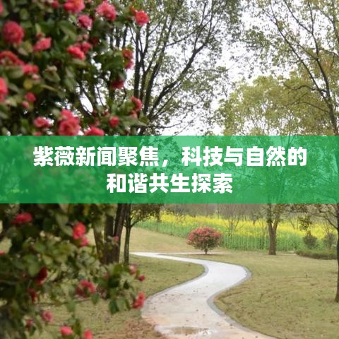 紫薇新闻聚焦，科技与自然的和谐共生探索