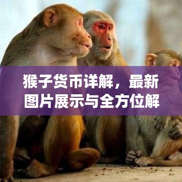 随圆就方