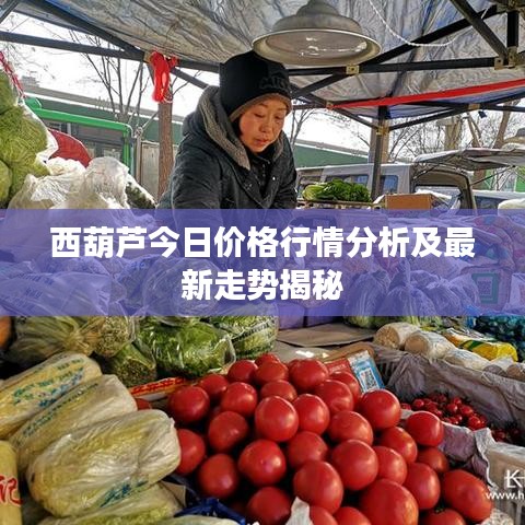 西葫芦今日价格行情分析及最新走势揭秘