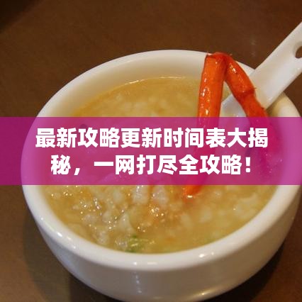 最新攻略更新时间表大揭秘，一网打尽全攻略！