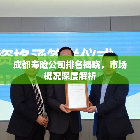 成都寿险公司排名揭晓，市场概况深度解析